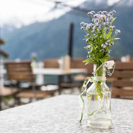 Hotel Meisser Superior Guarda