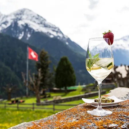 Hotel Meisser 