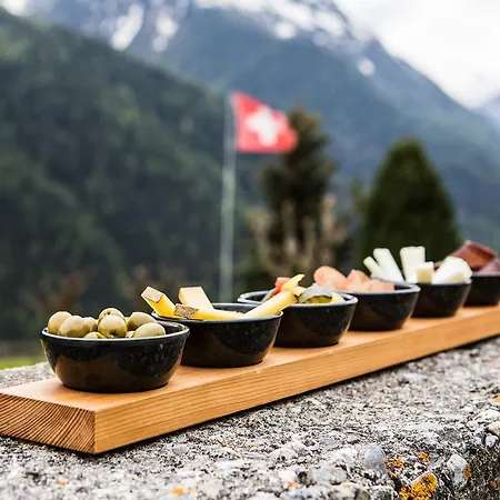 Hotel Meisser 